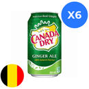 Canada Dry 33cl x6 BE