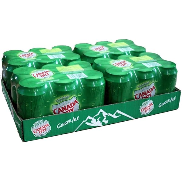 Canada Dry 33cl x24 BE