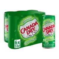Canada Dry 33cl x6 BE